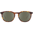 ARLIE, Classic Tortoise-Mineral Polarized 555nm Silver Cat 3 to 3, hi-res image number null